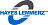 Hayes Lemmerz